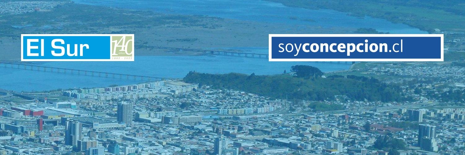 Diario El Sur banner