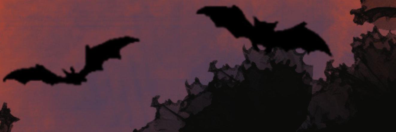 Windfalke's profile banner image