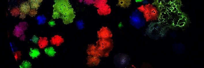 RLdeSwart's profile banner image