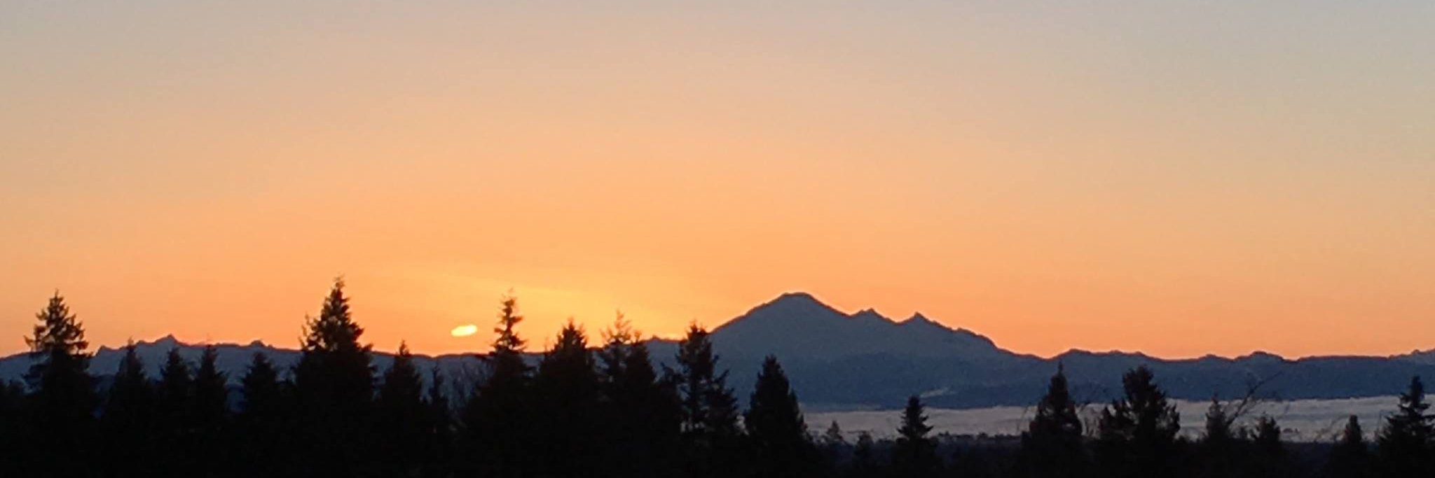 Linsey Ross 🇨🇦 banner