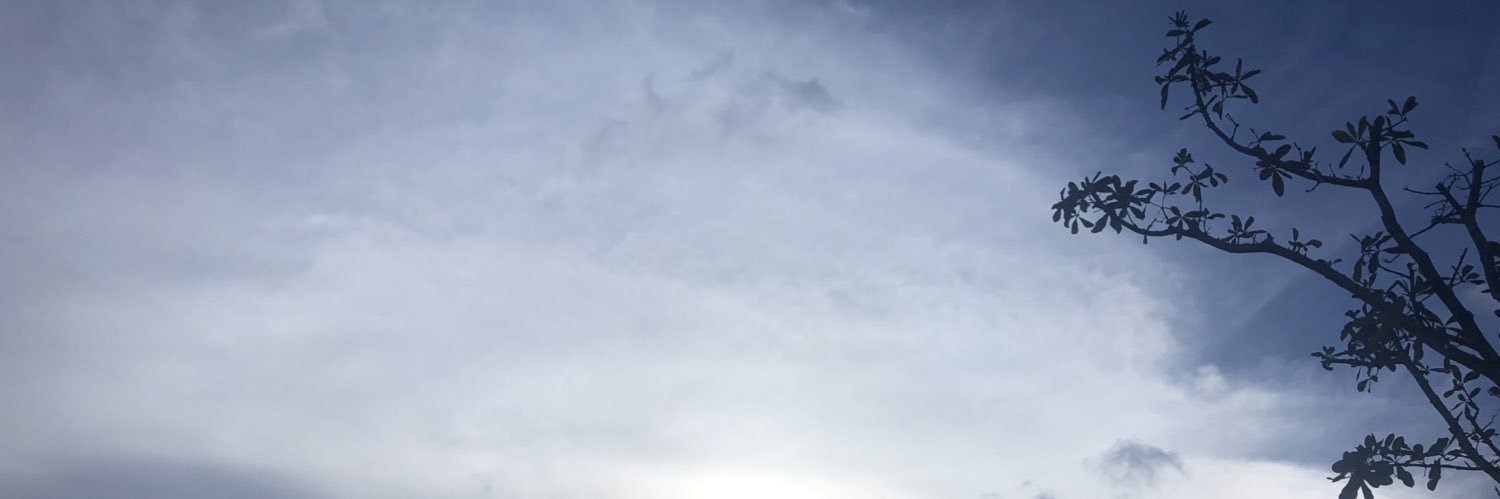 aonniies's profile banner image