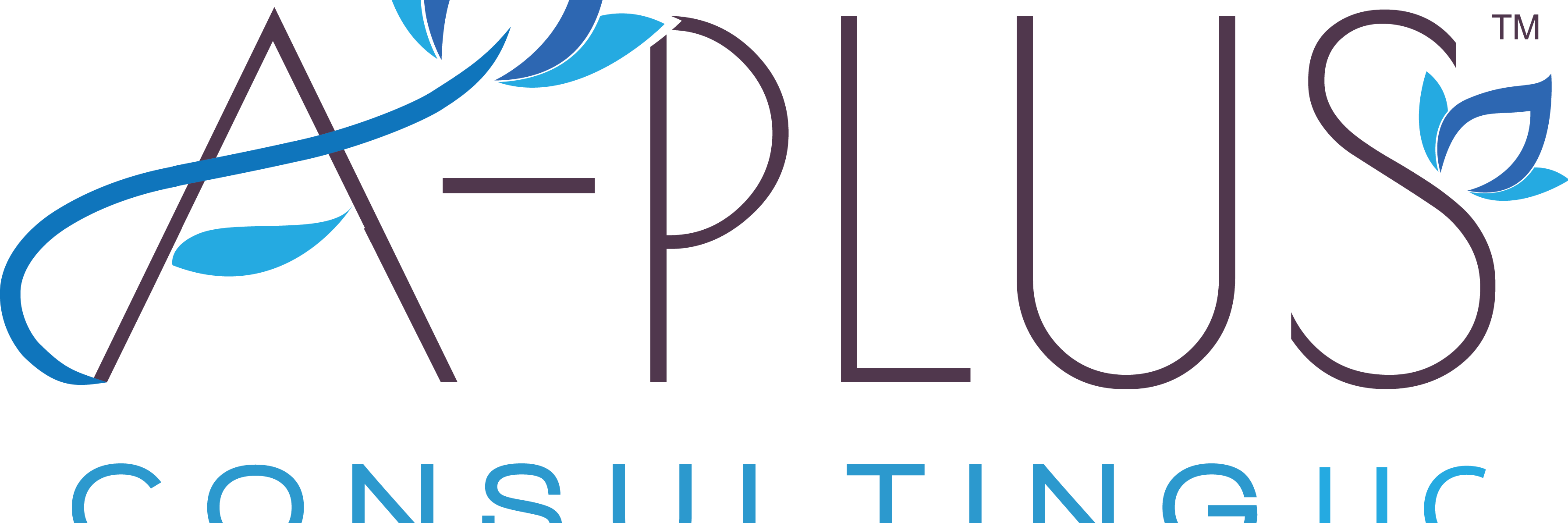 APlusInterns's profile banner image