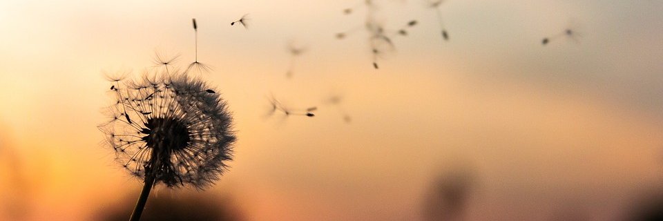 RNurlaila's profile banner image