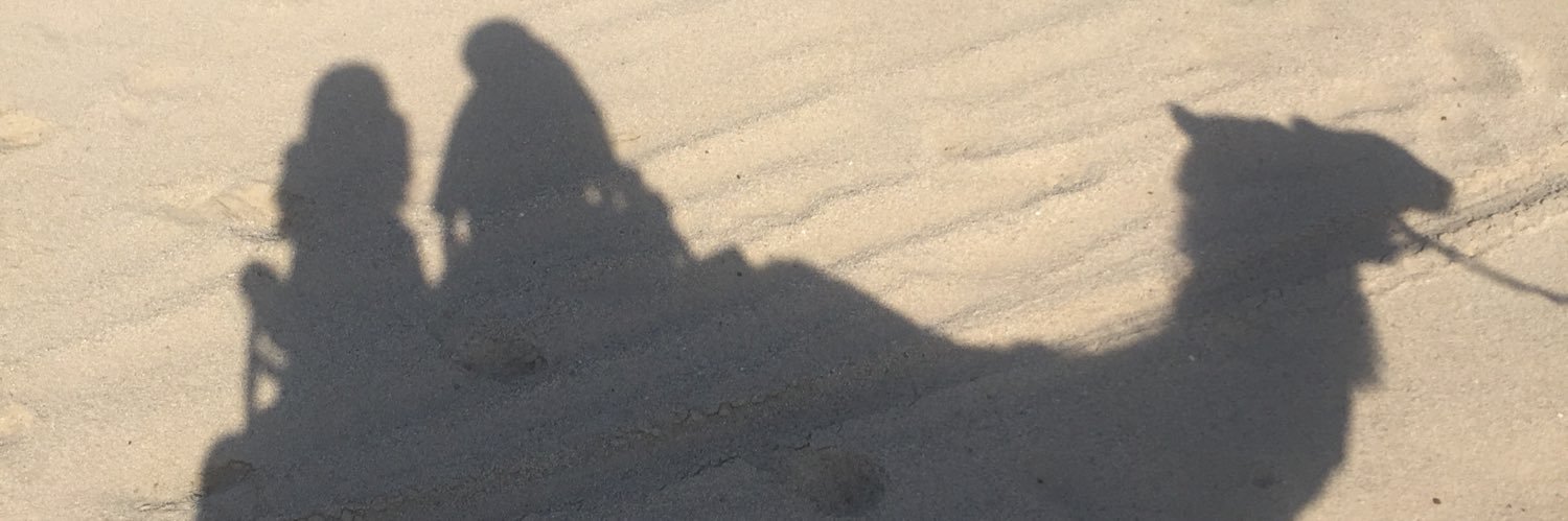 AleGalvezN's profile banner image