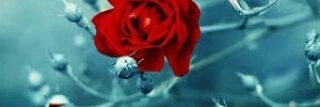 aa_dt1's profile banner image