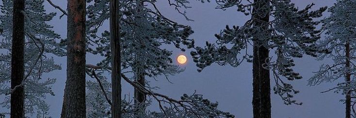 Anife_odai's profile banner image