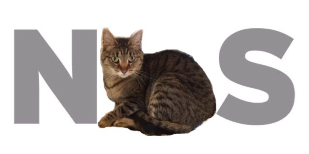 shelbss18's profile banner image