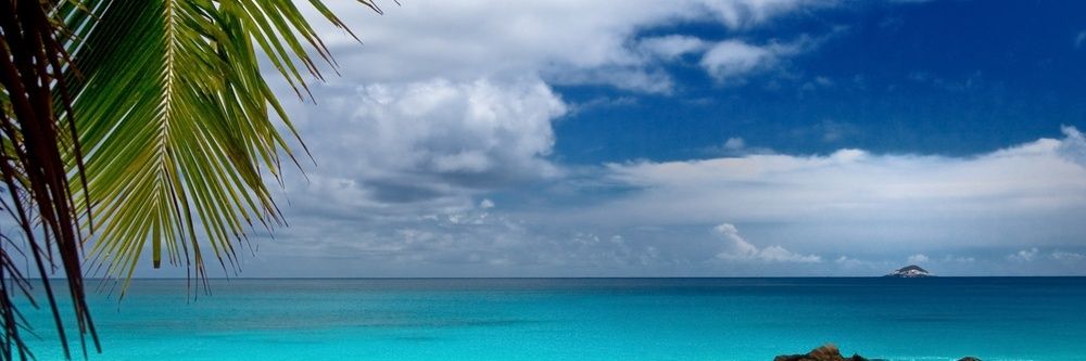 shay_ritch's profile banner image