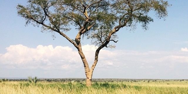 Duffydic's profile banner image
