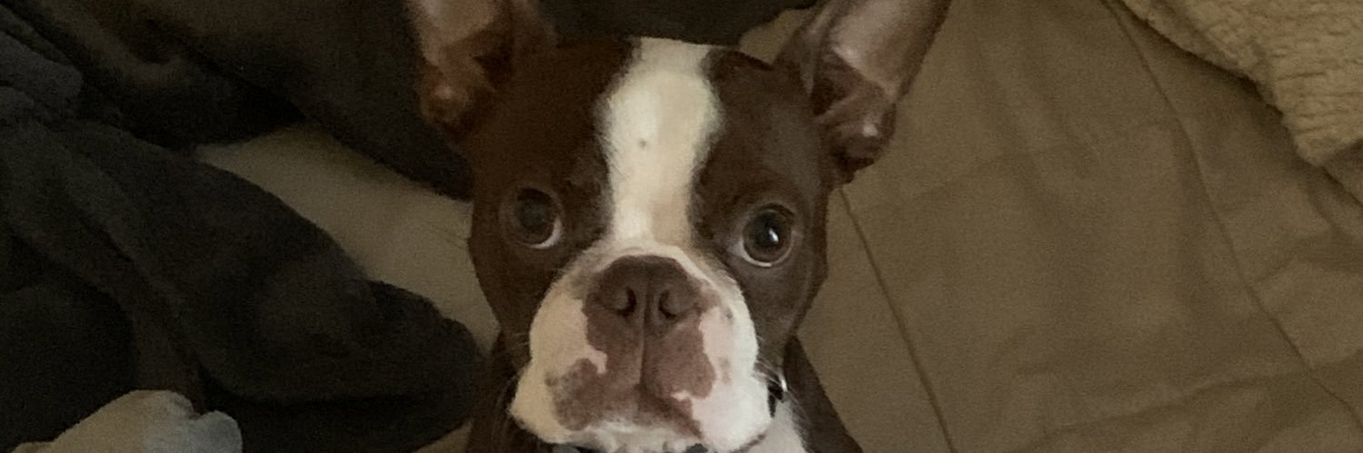 DrewMoreno40's profile banner image