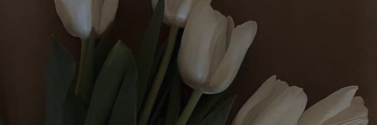 aininnsofeaa's profile banner image