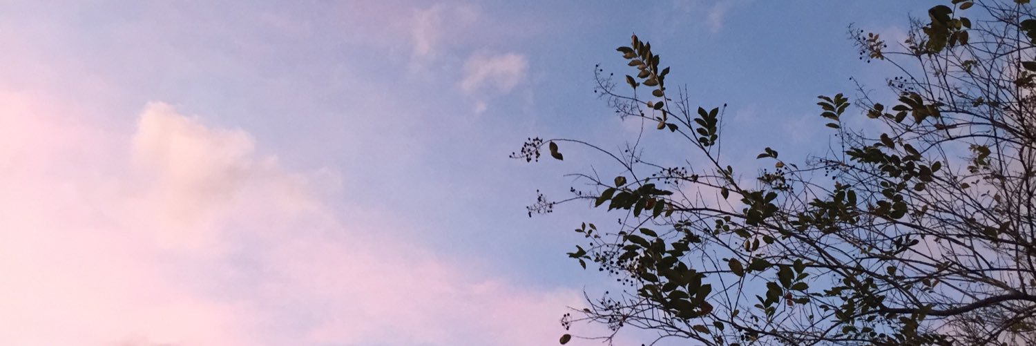 rachcazares's profile banner image