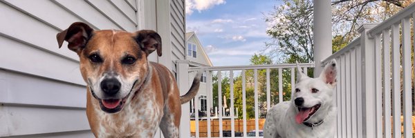 CharlieCharbooo Profile Banner