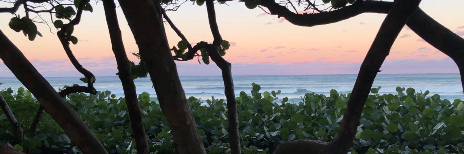 TheRednartso's profile banner image