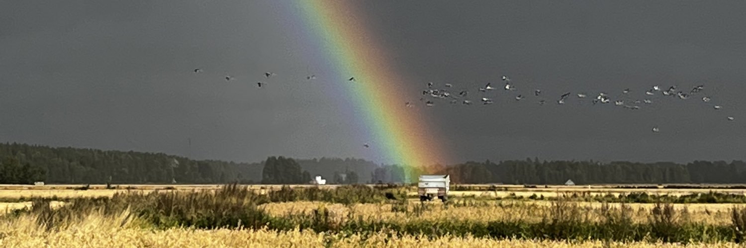 sami_kurki's profile banner image