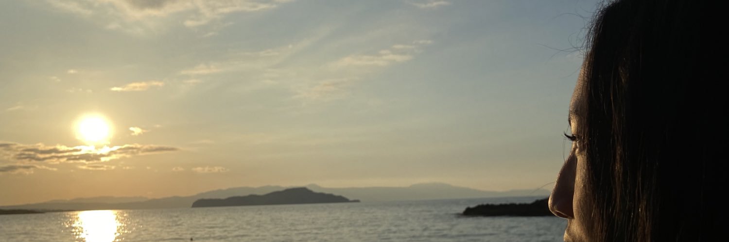 AliceAndri's profile banner image