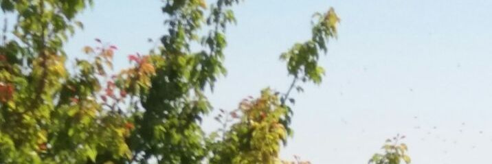 hamza3866's profile banner image