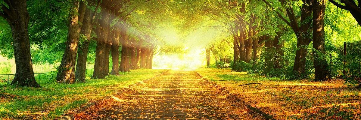 44 Years In Turmoil banner