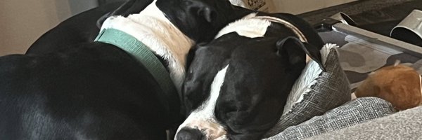 6ftEric Profile Banner