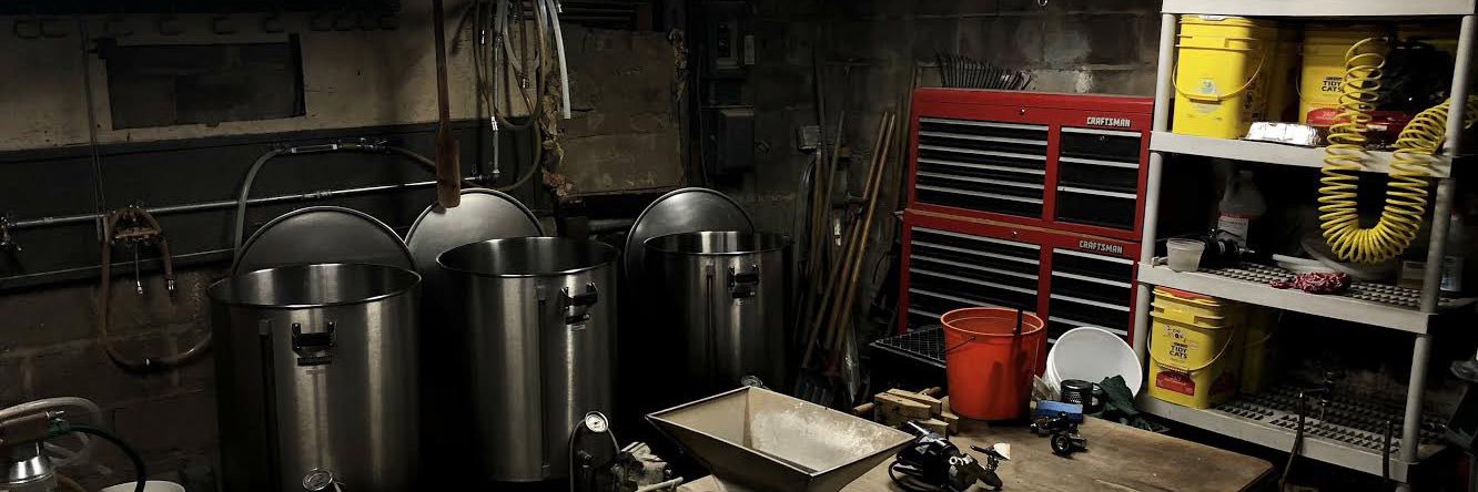 The Public Option banner