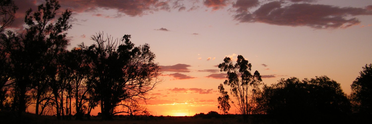 C_E_Tanner's profile banner image