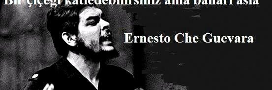 g57568549's profile banner image