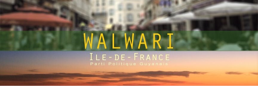 WalwarIDF's profile banner image