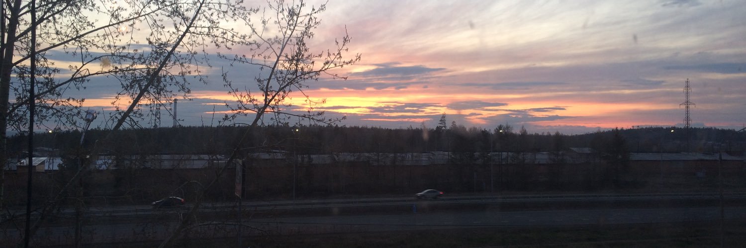 lilanika96's profile banner image