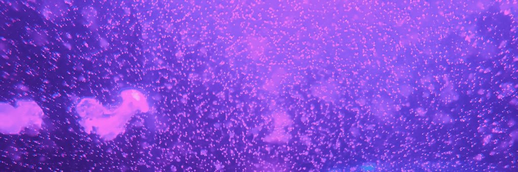 solsticestone's profile banner image