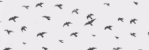 agastrigi's profile banner image