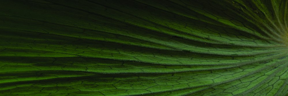 intuitiveCS's profile banner image