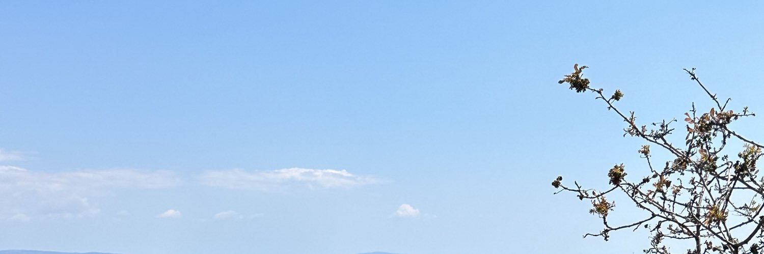 ilytr22's profile banner image