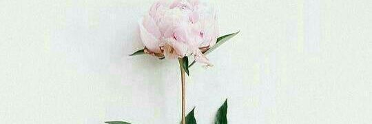Shabalala_Mbaly's profile banner image