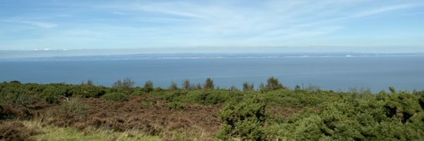 Mark_Tompkins17 Profile Banner