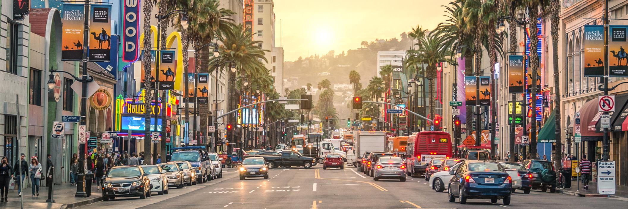 STUDY INTERNATIONAL banner