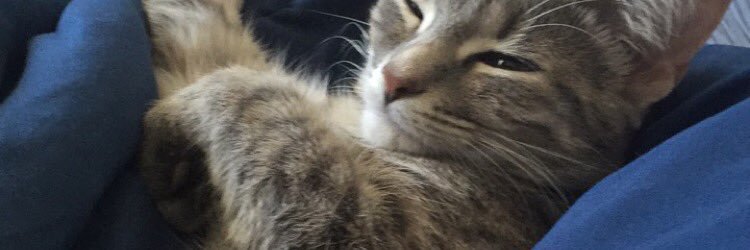 Damnitsaleks's profile banner image