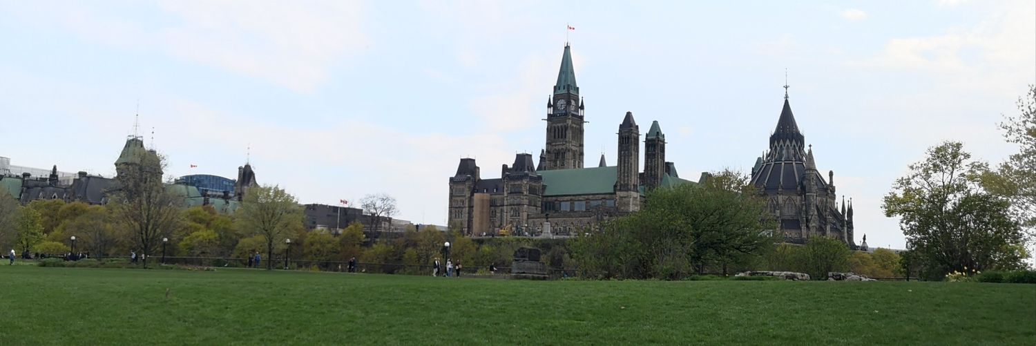 Betssy Alvarenga banner