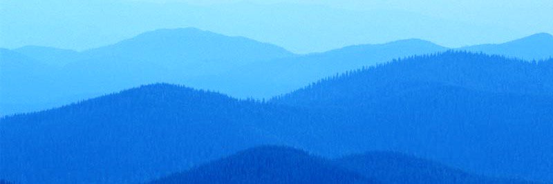 WickedWitch365's profile banner image