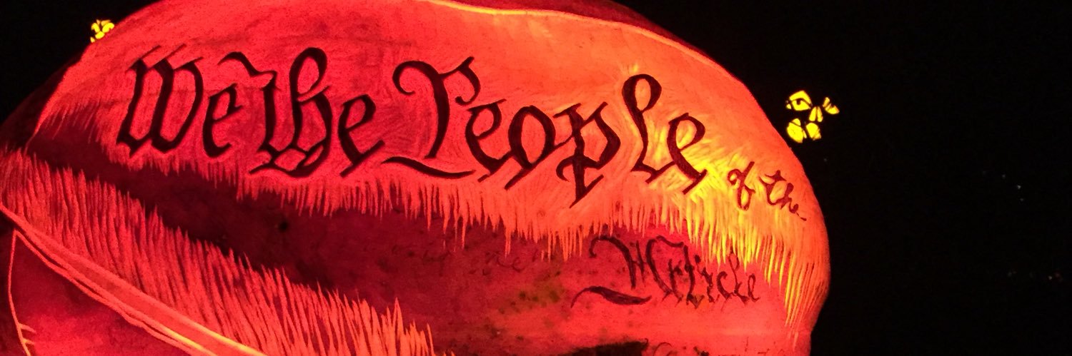 MinnesotaVoice ⚖️⏳ banner