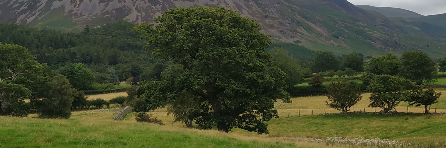 ritikaa_94's profile banner image