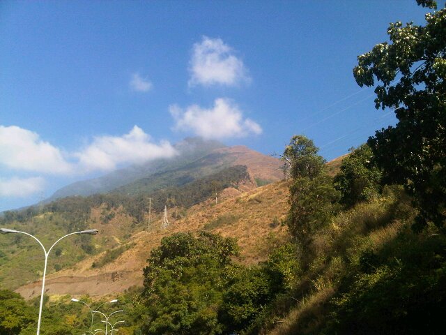 Sandra Bubregh banner