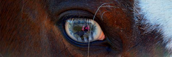 MNO_Images's profile banner image