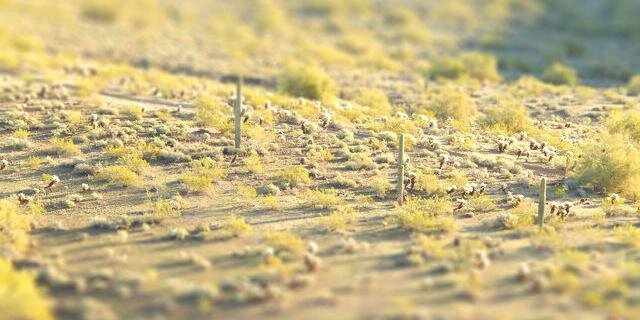 BobCthulhu's profile banner image