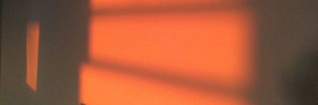 neededmila's profile banner image