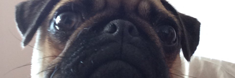 Asajohnson21's profile banner image