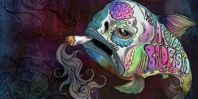 ethan9m9gilbert's profile banner image