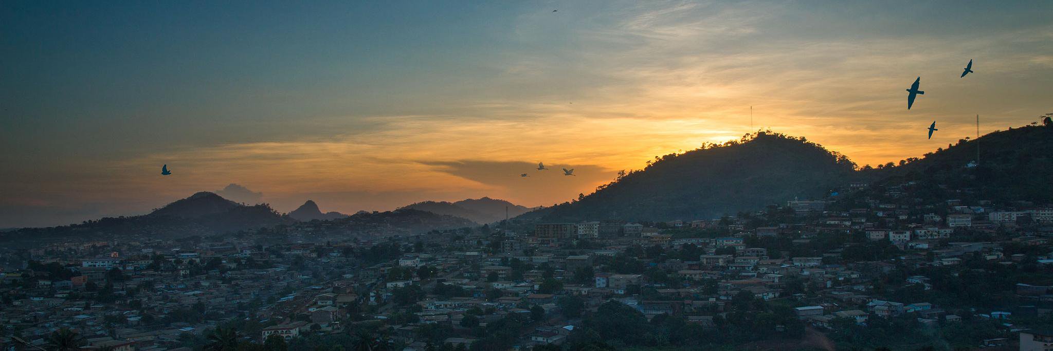 This Is Cameroon banner
