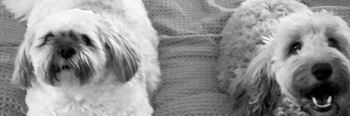 natasha____x's profile banner image