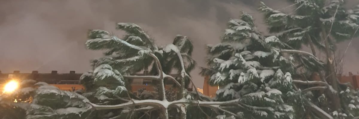nerruya's profile banner image
