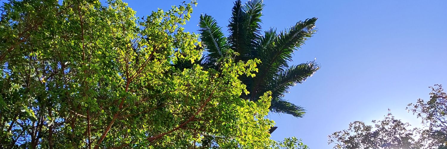 eudiegocesar's profile banner image